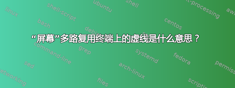 “屏幕”多路复用终端上的虚线是什么意思？