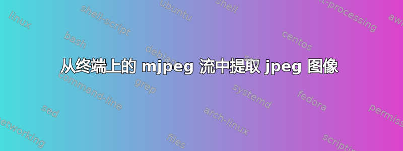 从终端上的 mjpeg 流中提取 jpeg 图像