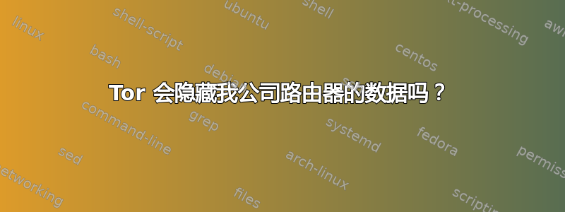 Tor 会隐藏我公司路由器的数据吗？