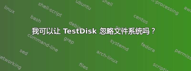 我可以让 TestDisk 忽略文件系统吗？