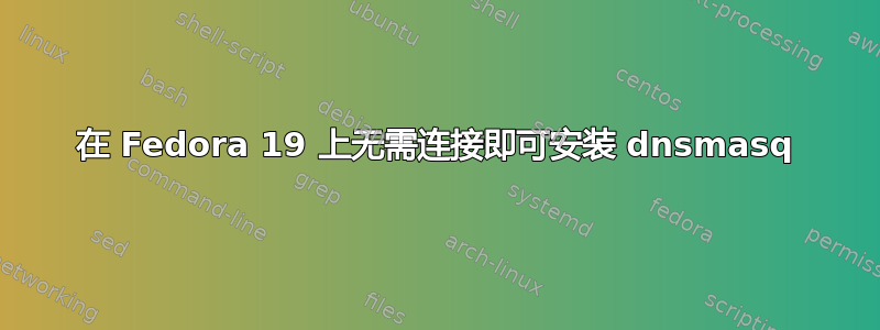 在 Fedora 19 上无需连接即可安装 dnsmasq