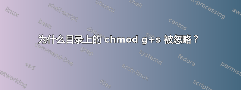 为什么目录上的 chmod g+s 被忽略？