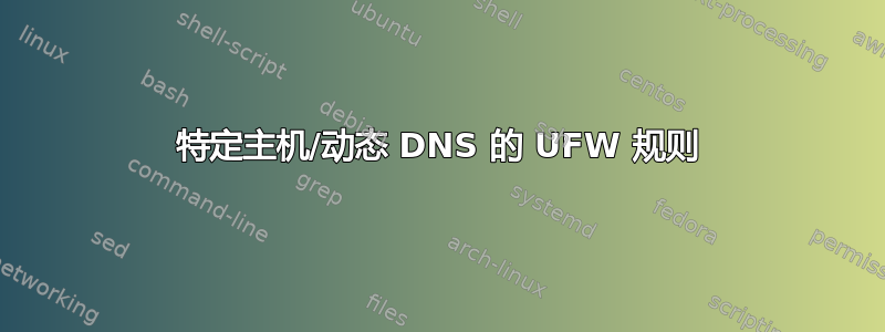 特定主机/动态 DNS 的 UFW 规则