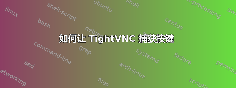 如何让 TightVNC 捕获按键