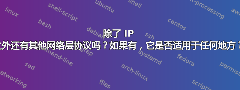 除了 IP 之外还有其他网络层协议吗？如果有，它是否适用于任何地方？