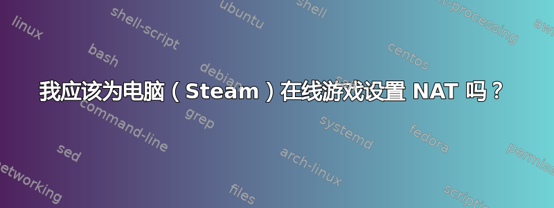 我应该为电脑（Steam）在线游戏设置 NAT 吗？