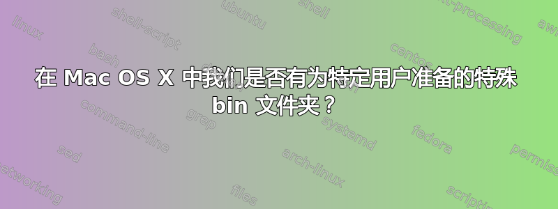 在 Mac OS X 中我们是否有为特定用户准备的特殊 bin 文件夹？