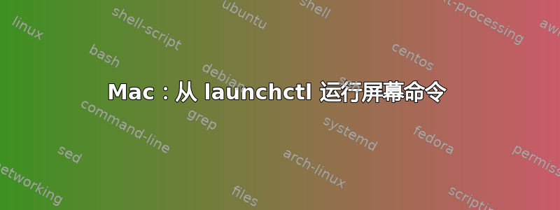 Mac：从 launchctl 运行屏幕命令