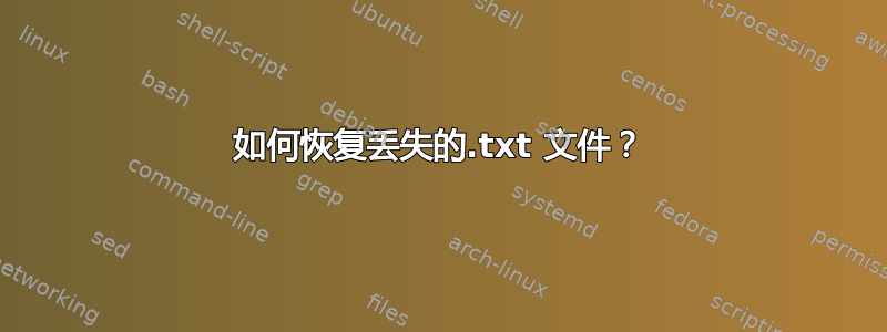 如何恢复丢失的.txt 文件？