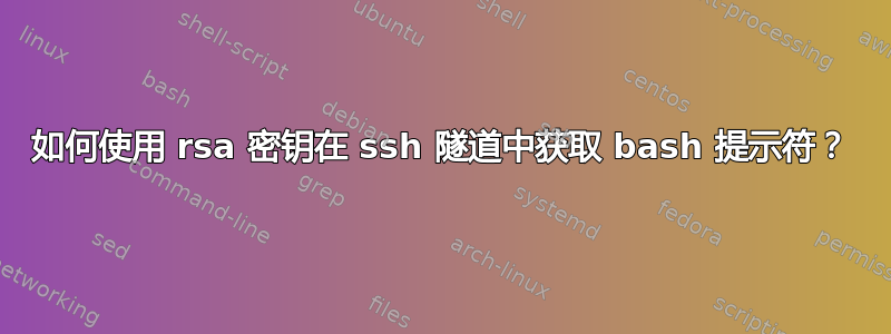 如何使用 rsa 密钥在 ssh 隧道中获取 bash 提示符？