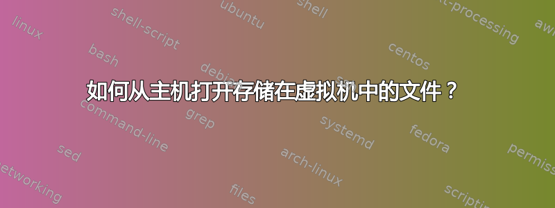 如何从主机打开存储在虚拟机中的文件？