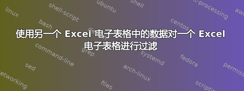 使用另一个 Excel 电子表格中的数据对一个 Excel 电子表格进行过滤