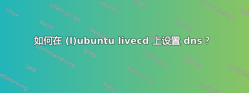 如何在 (l)ubuntu livecd 上设置 dns？