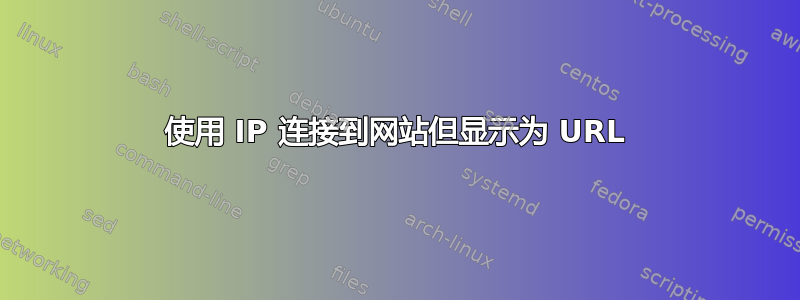 使用 IP 连接到网站但显示为 URL