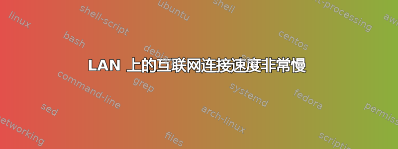 LAN 上的互联网连接速度非常慢