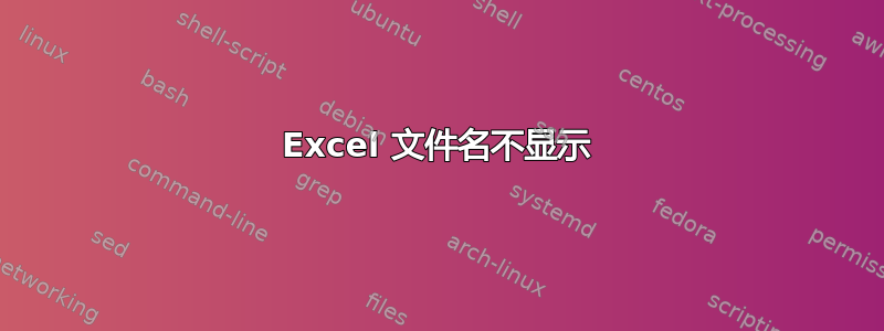 Excel 文件名不显示