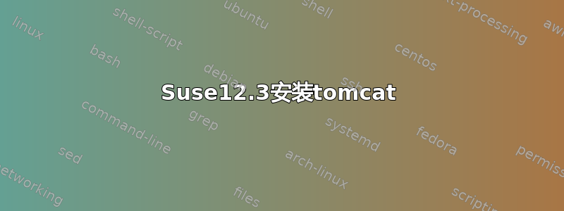 Suse12.3安装tomcat