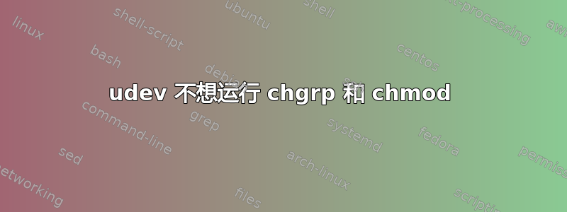 udev 不想运行 chgrp 和 chmod