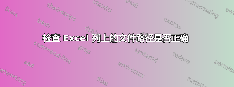 检查 Excel 列上的文件路径是否正确