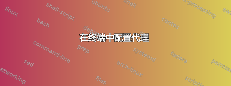 在终端中配置代理