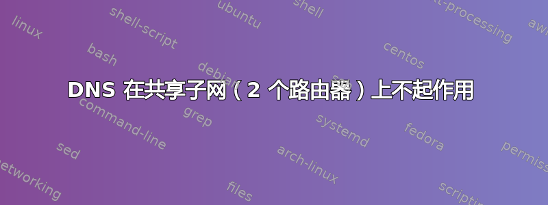 DNS 在共享子网（2 个路由器）上不起作用