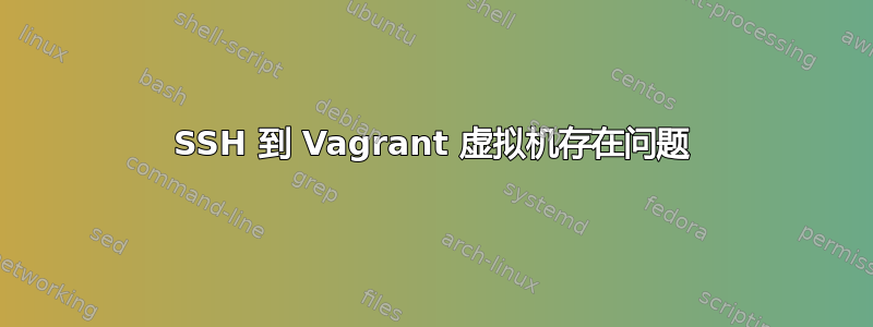 SSH 到 Vagrant 虚拟机存在问题