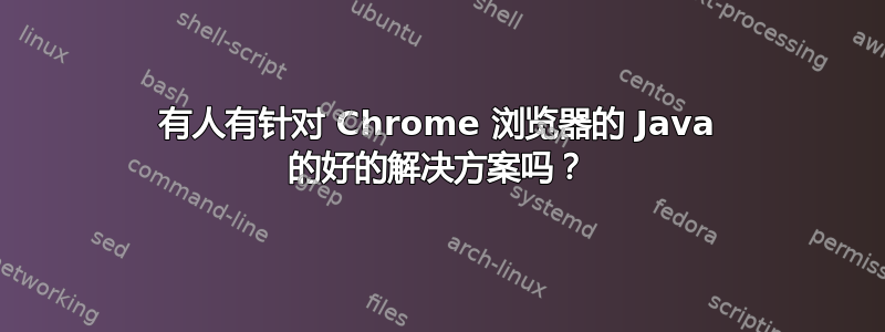 有人有针对 Chrome 浏览器的 Java 的好的解决方案吗？