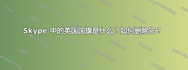 Skype 中的英国国旗是什么？如何删除它？