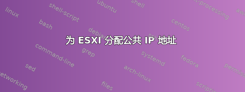 为 ESXI 分配公共 IP 地址