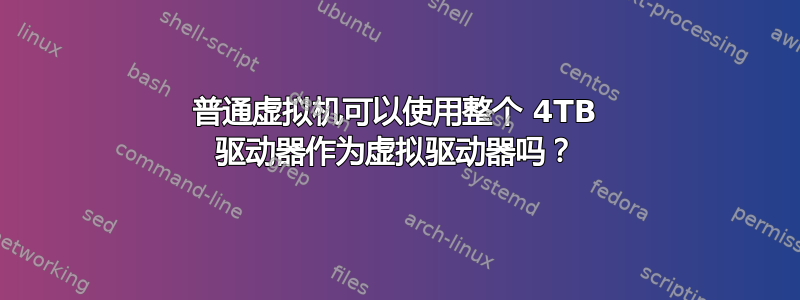 普通虚拟机可以使用整个 4TB 驱动器作为虚拟驱动器吗？