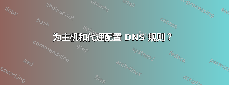 为主机和代理配置 DNS 规则？