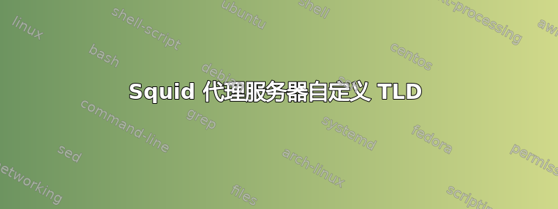 Squid 代理服务器自定义 TLD