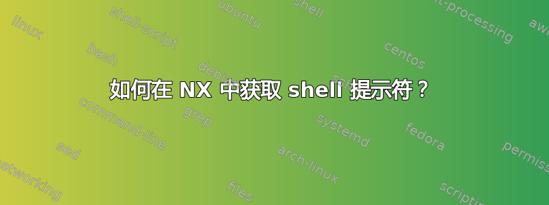 如何在 NX 中获取 shell 提示符？