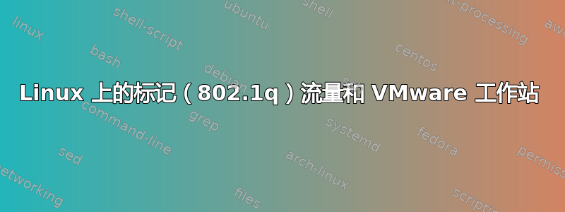 Linux 上的标记（802.1q）流量和 VMware 工作站