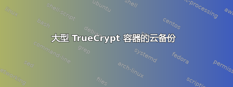 大型 TrueCrypt 容器的云备份 