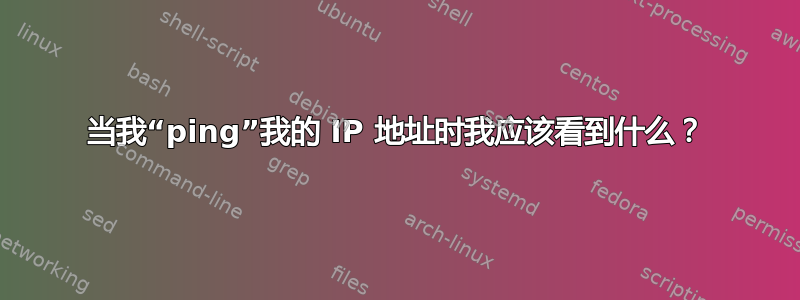 当我“ping”我的 IP 地址时我应该看到什么？