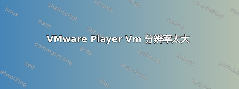 VMware Player Vm 分辨率太大