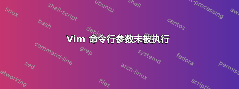 Vim 命令行参数未被执行