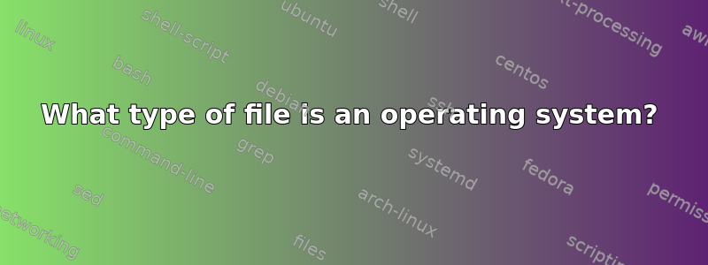 What type of file is an operating system?