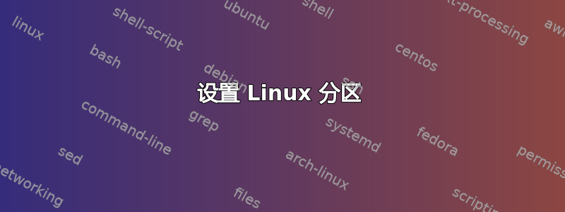 设置 Linux 分区