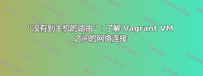 “没有到主机的路由”：了解 Vagrant VM 之间的网络连接