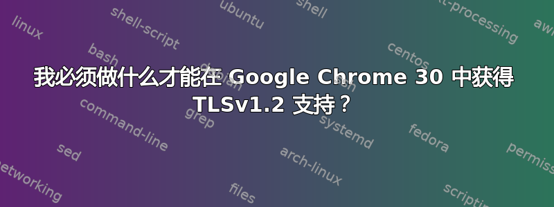 我必须做什么才能在 Google Chrome 30 中获得 TLSv1.2 支持？