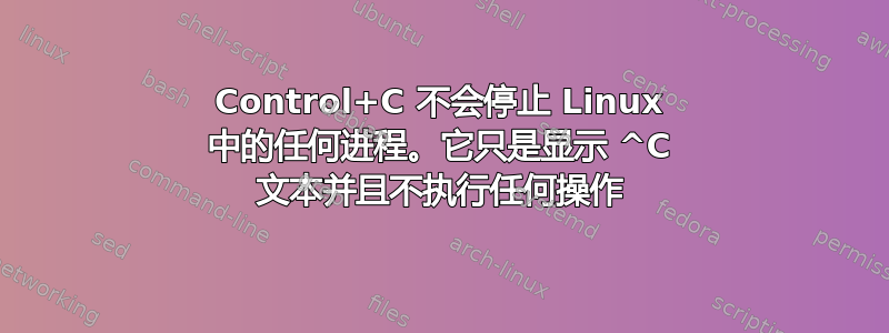 Control+C 不会停止 Linux 中的任何进程。它只是显示 ^C 文本并且不执行任何操作