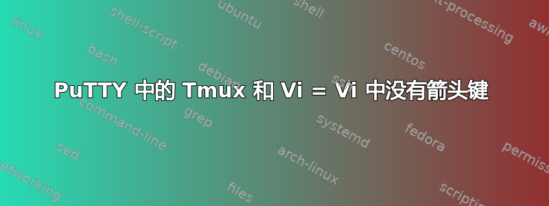 PuTTY 中的 Tmux 和 Vi = Vi 中没有箭头键