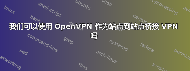 我们可以使用 OpenVPN 作为站点到站点桥接 VPN 吗