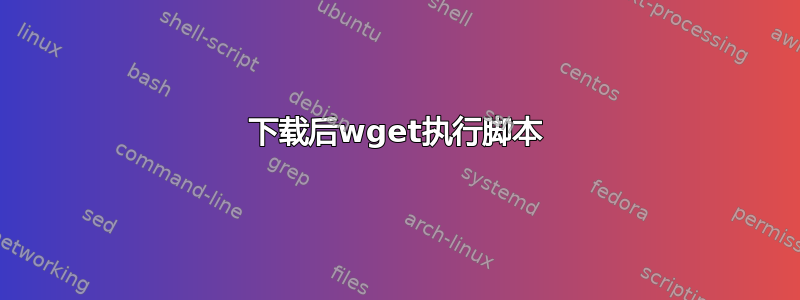 下载后wget执行脚本