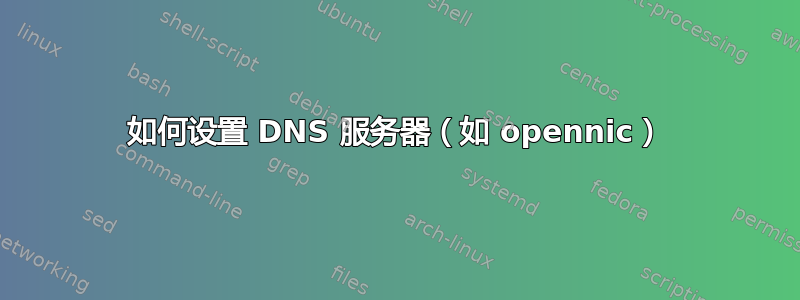 如何设置 DNS 服务器（如 opennic）