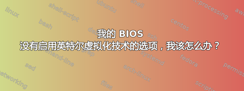 我的 BIOS 没有启用英特尔虚拟化技术的选项，我该怎么办？