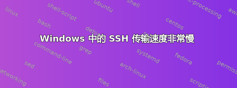 Windows 中的 SSH 传输速度非常慢