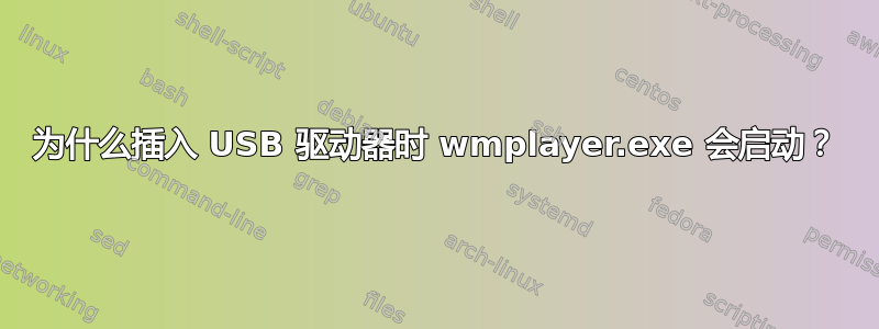 为什么插入 USB 驱动器时 wmplayer.exe 会启动？